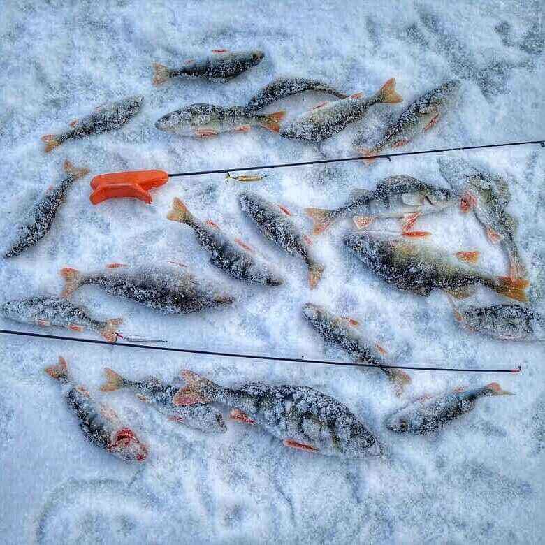 Лёд, лунка и снасти — классический момент ice fishing