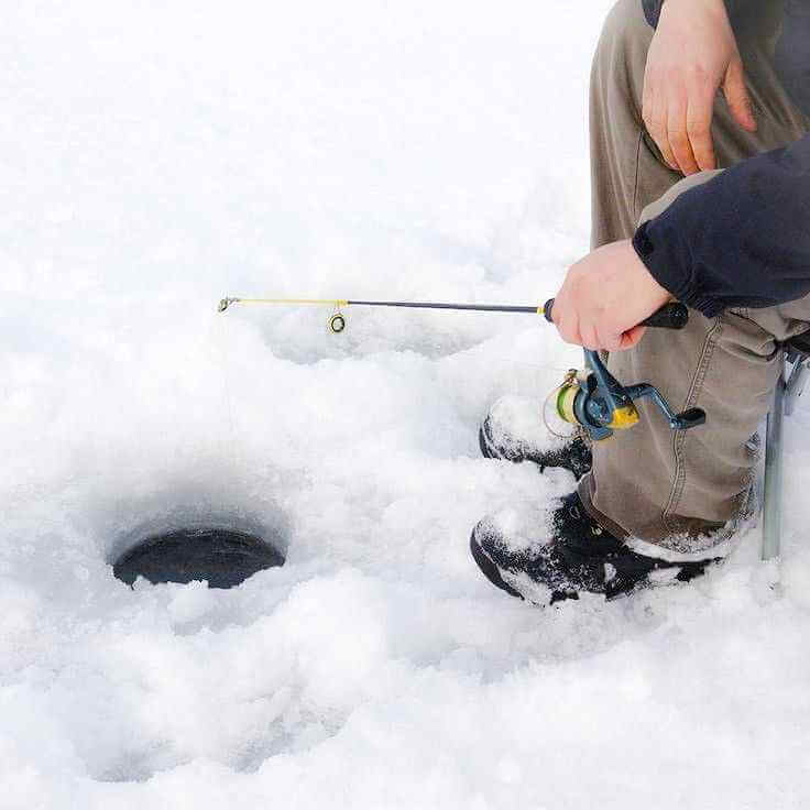 Базовый курс по зимней рыбалке IceCatch